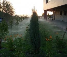 Автополив № 1 2020 год