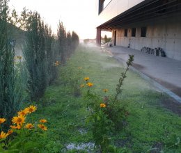 Автополив № 1 2020 год